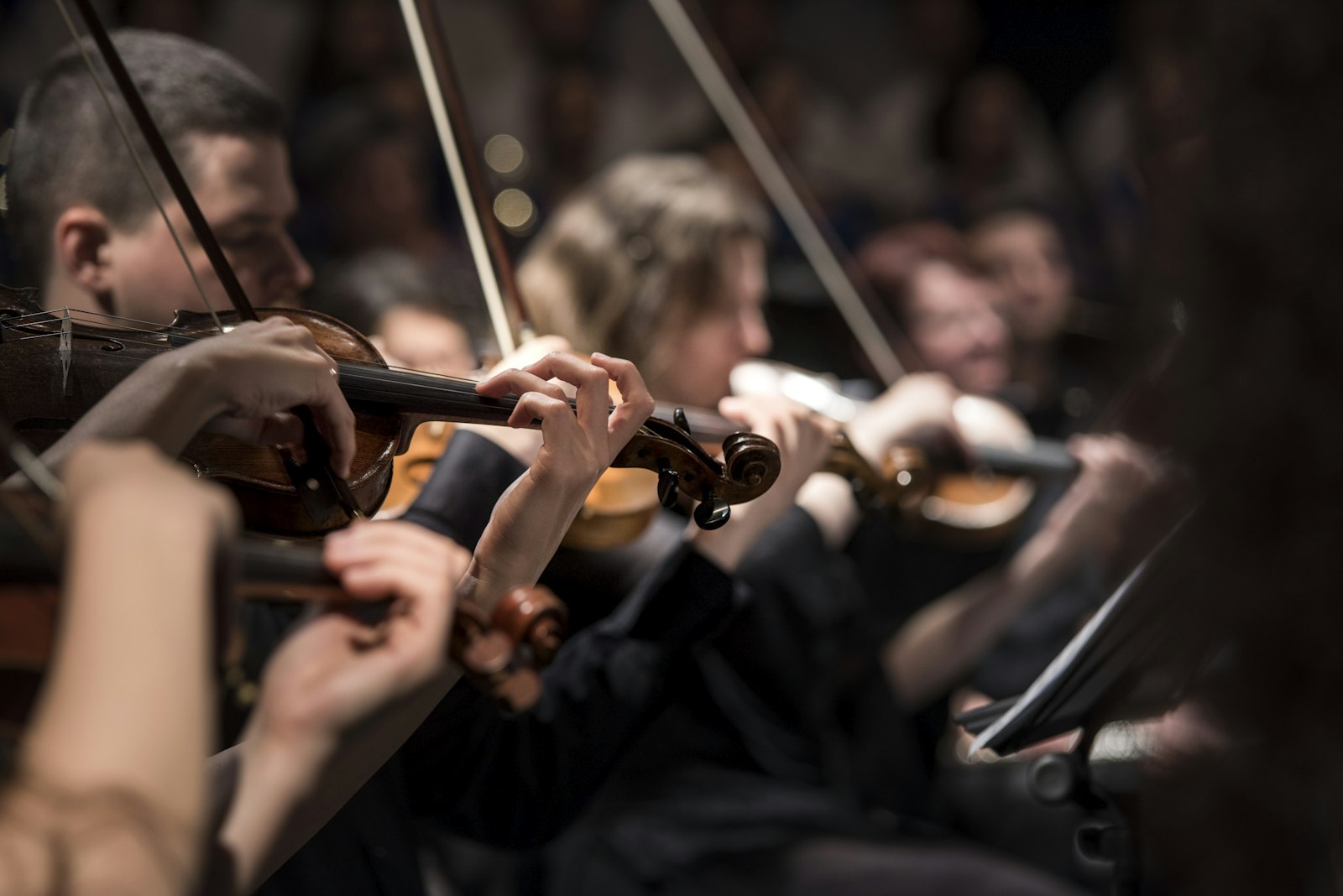 Musiciens d’un quatuor à cordes jouant dans une salle peu éclairée