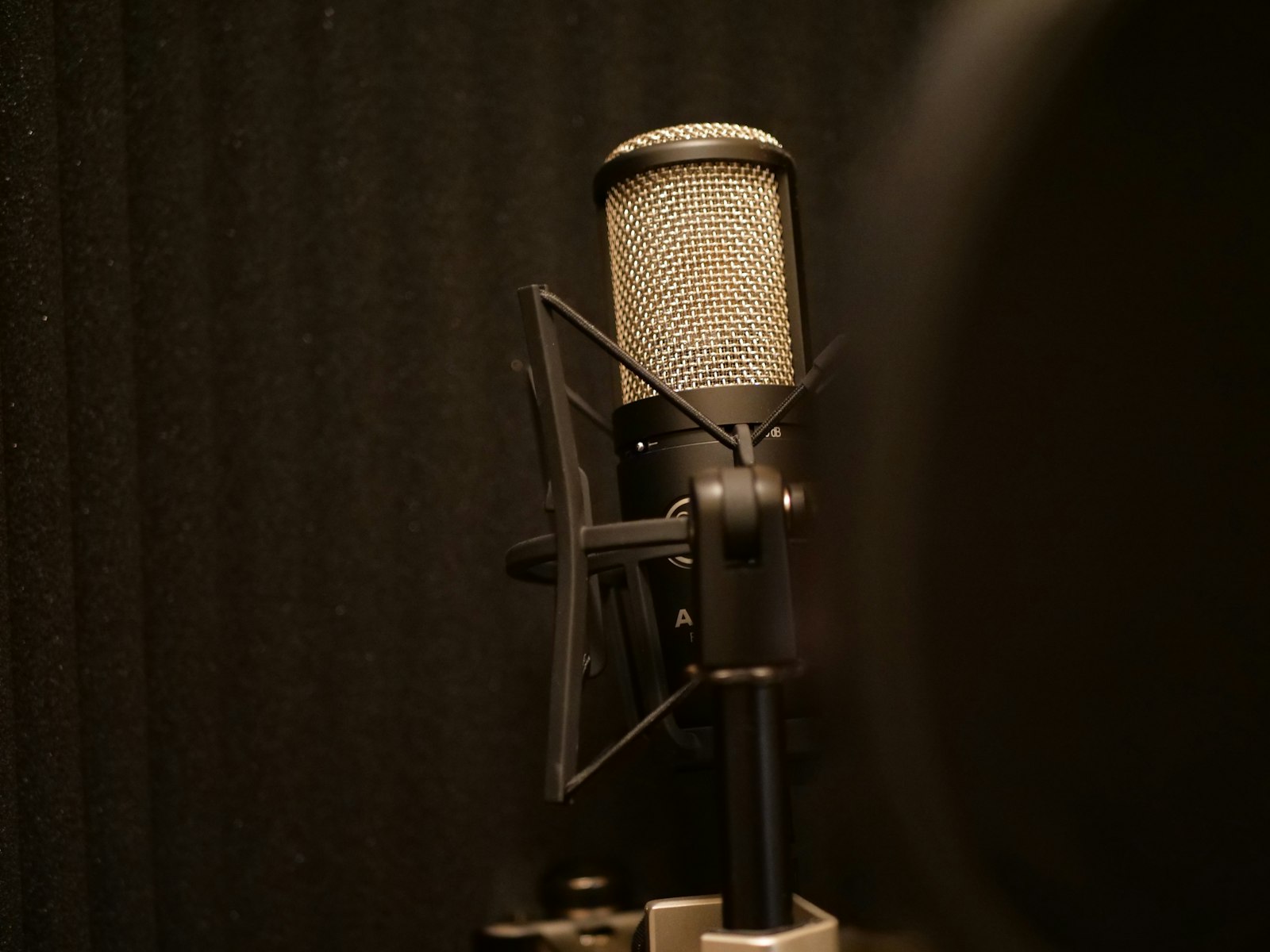 Micro de studio noir et argent installé pour une prise de voix