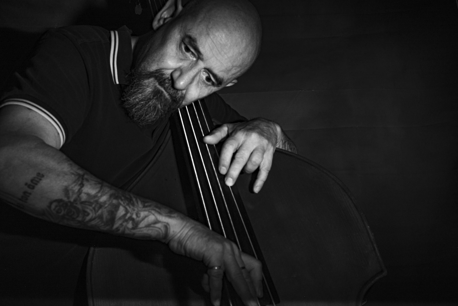 Portrait en noir et blanc d’un contrebassiste barbu