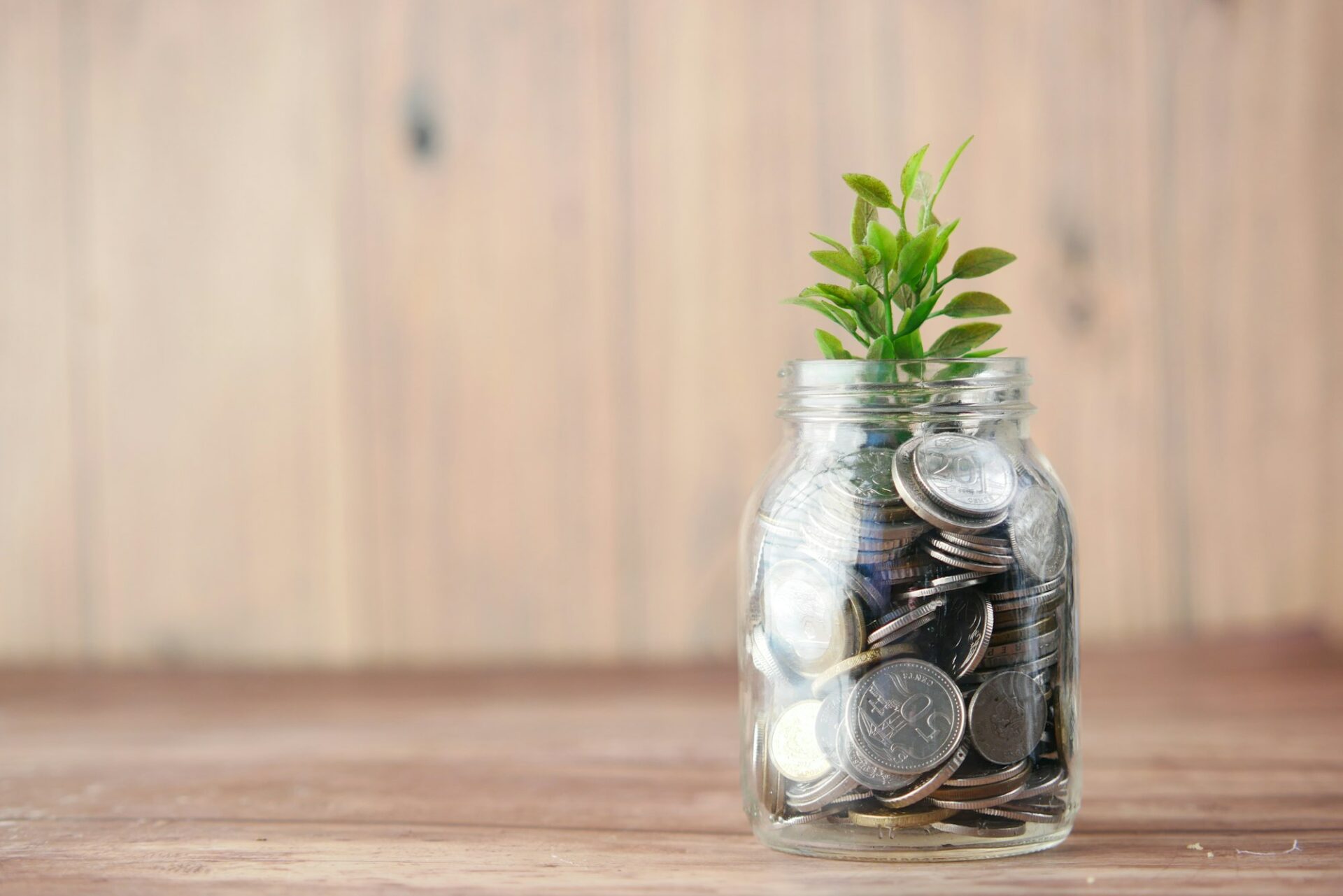 Bocal en verre rempli de pièces avec une jeune pousse, image d’un budget à faire fructifier