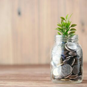 Bocal en verre rempli de pièces avec une jeune pousse, image d’un budget à faire fructifier