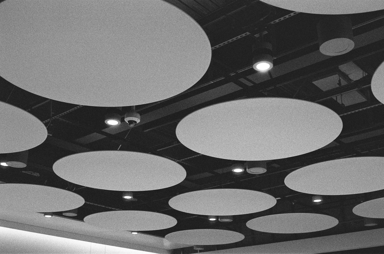 Plafond équipé de grands panneaux acoustiques circulaires