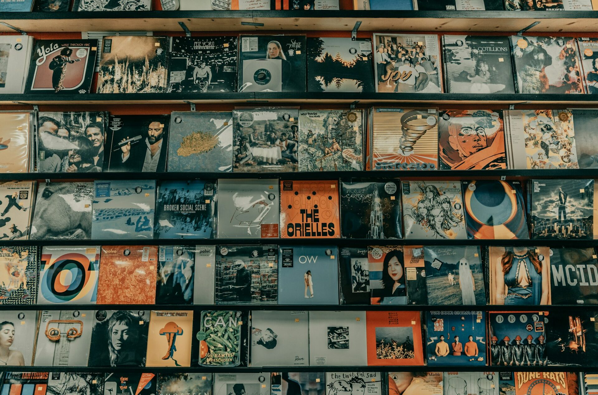 Rangées de vinyles exposés sur des étagères en bois dans un magasin de musique