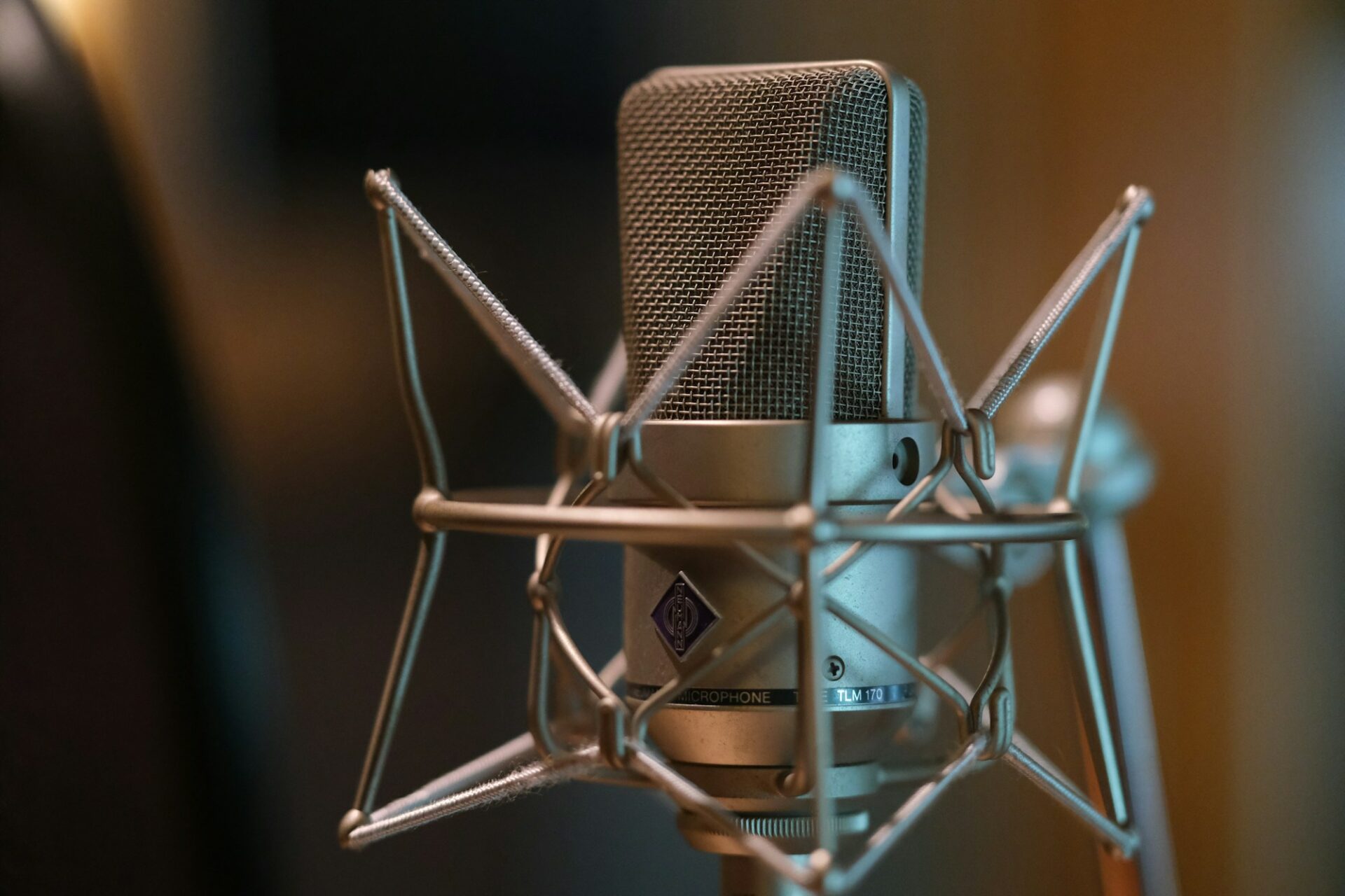 Microphone de studio statique monté sur une suspension antichoc
